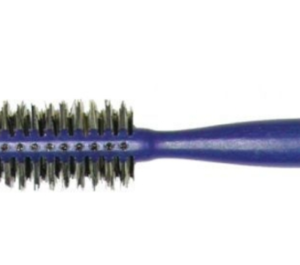 וולדן מברשת כחולה 33